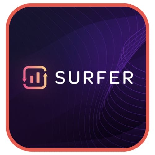 Surfer Seo